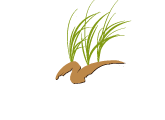 Huron House